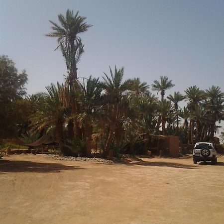 Kasbah Les Alizes Du Desert M'Hamid Dış mekan fotoğraf