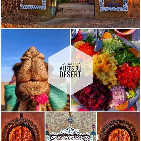Kasbah Les Alizes Du Desert M'Hamid Dış mekan fotoğraf