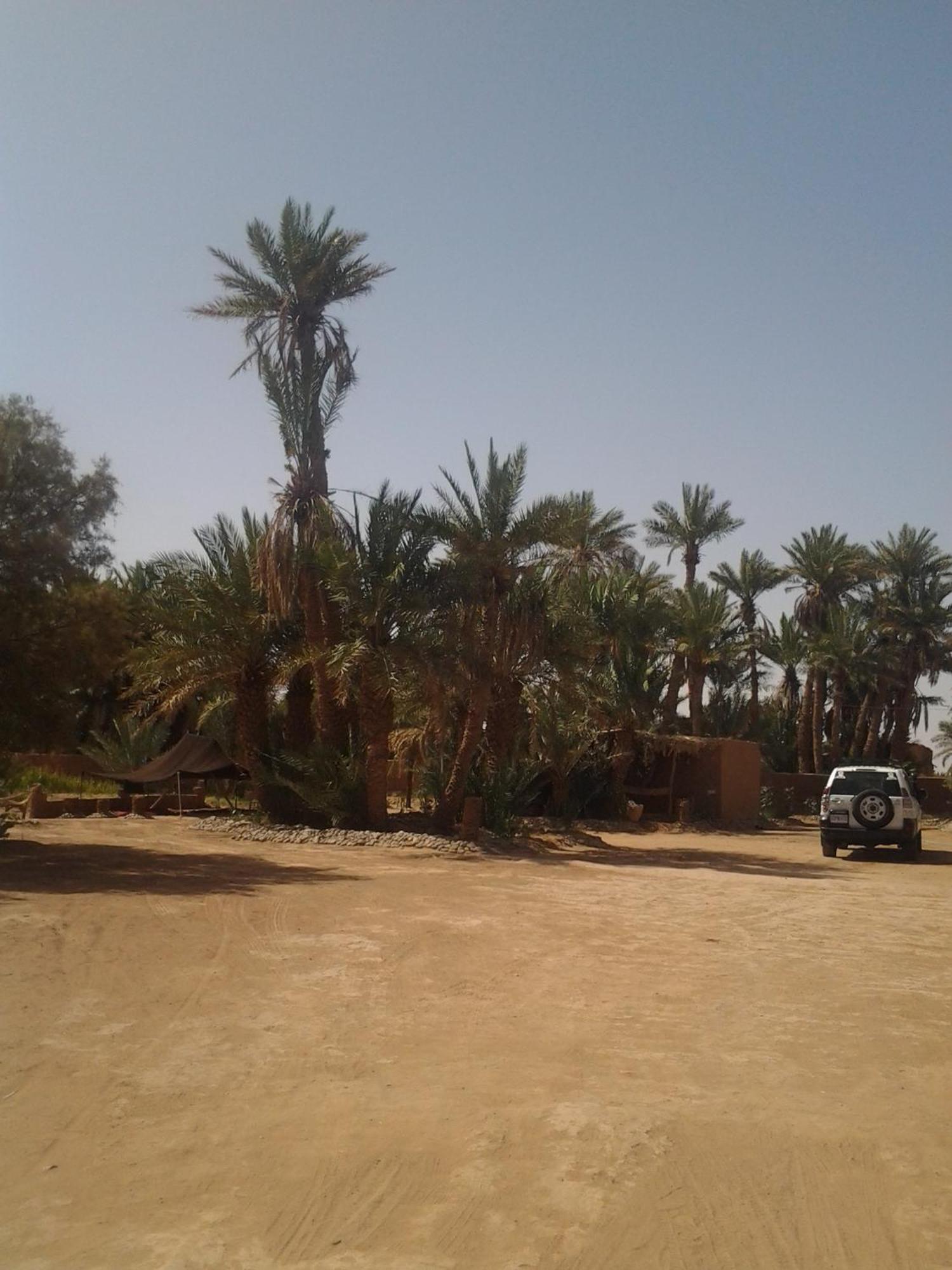 Kasbah Les Alizes Du Desert M'Hamid Dış mekan fotoğraf