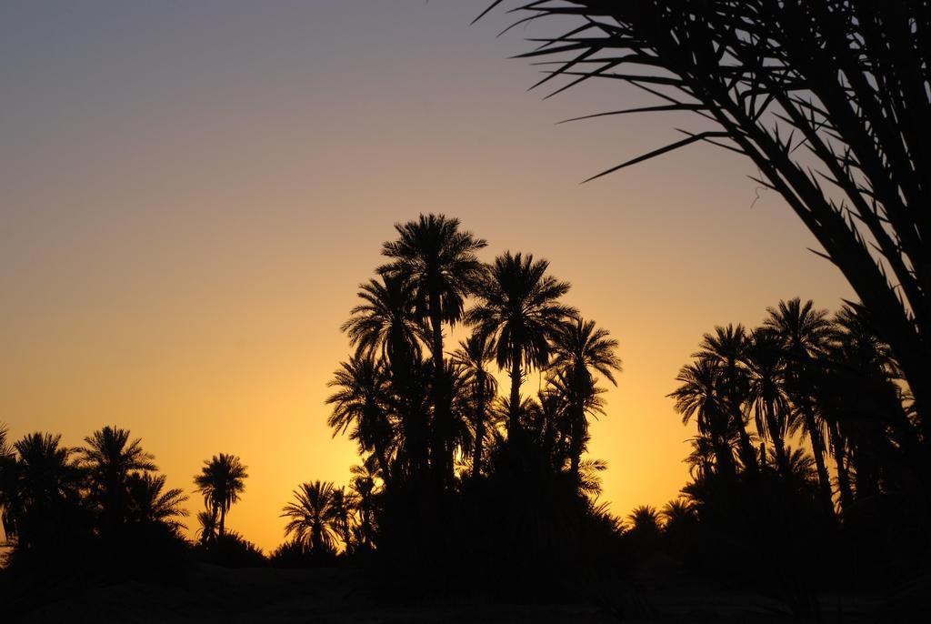 Kasbah Les Alizes Du Desert M'Hamid Dış mekan fotoğraf