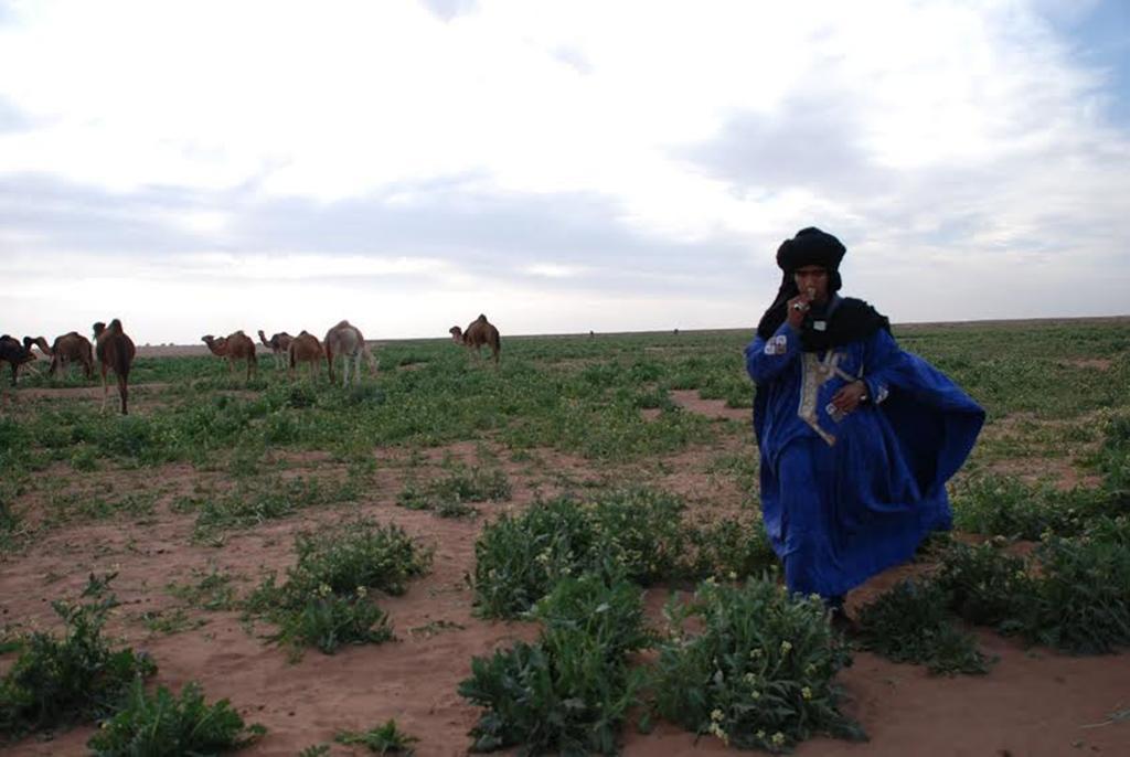 Kasbah Les Alizes Du Desert M'Hamid Dış mekan fotoğraf