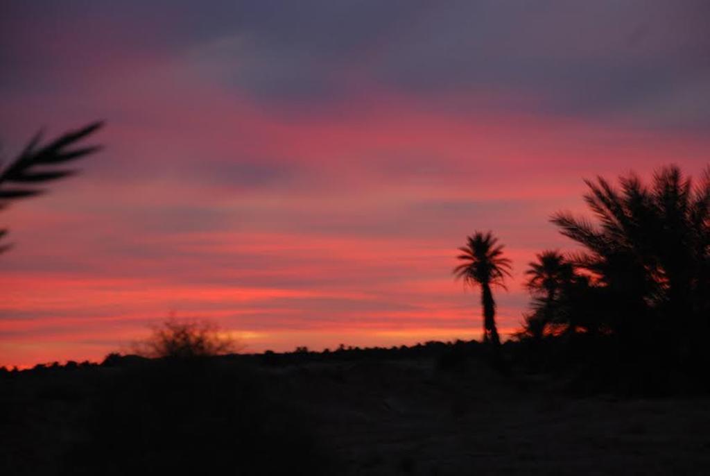 Kasbah Les Alizes Du Desert M'Hamid Dış mekan fotoğraf