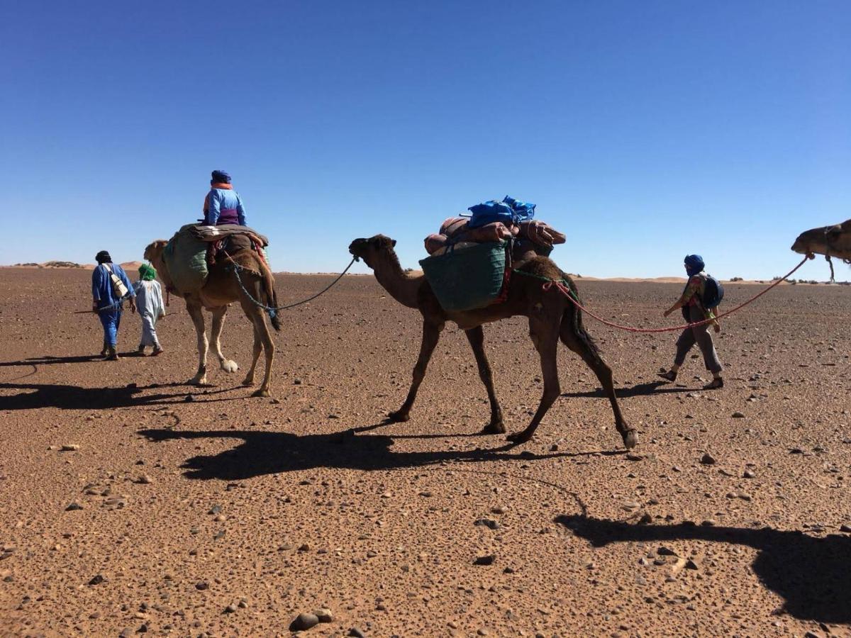 Kasbah Les Alizes Du Desert M'Hamid Dış mekan fotoğraf