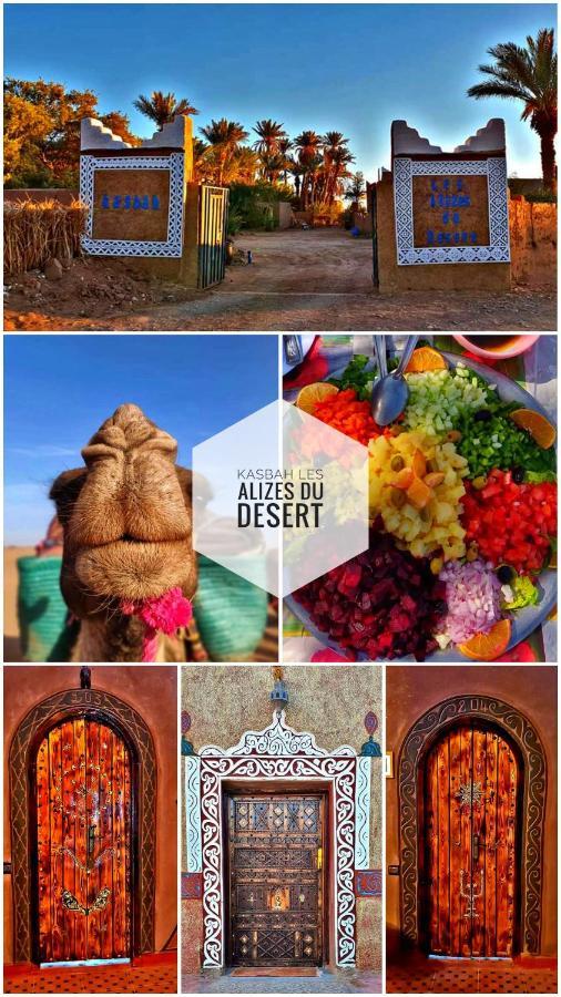 Kasbah Les Alizes Du Desert M'Hamid Dış mekan fotoğraf